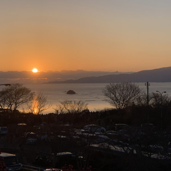 BLOG【2025年に選ばれた-FLEX GALLERY BEST BUY TOP5-】